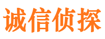 沧州私家侦探公司